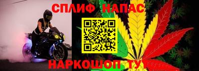 ешки Кинель