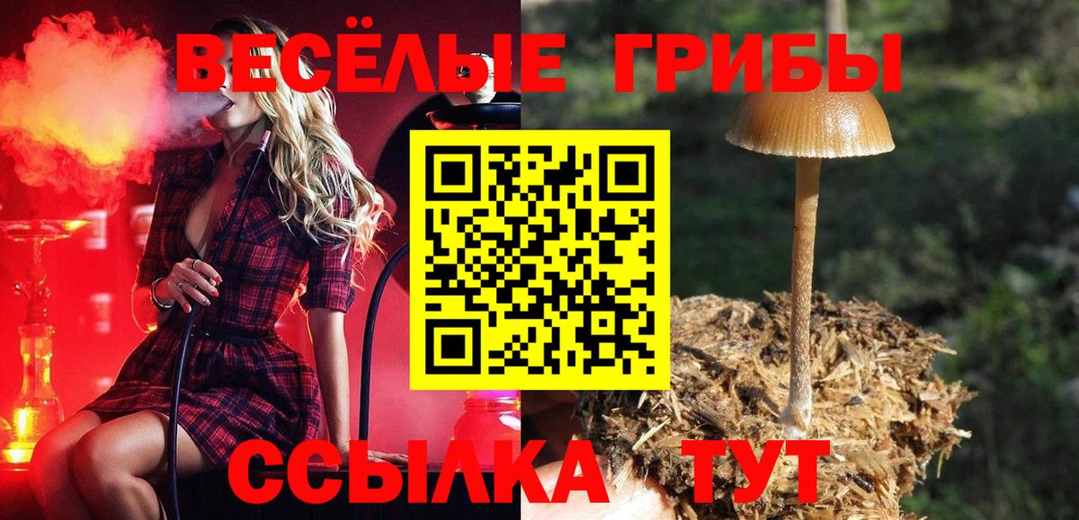 где продают наркотики  Вход с VPN  Черкесск  Галлюциногенные грибы GOLDEN TEACHER 