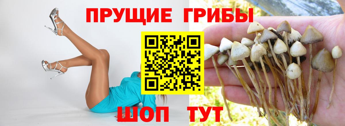 Галлюциногенные грибы мухоморы Черкесск